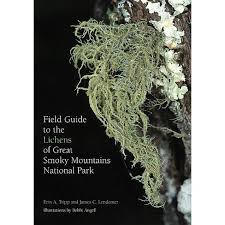 Field Guide to the Lichens of Great Smoky Mountains National Park by Erin A Tripp and James C. Lendemer