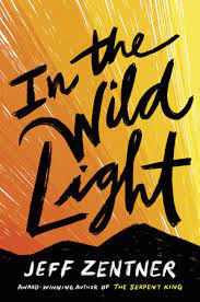 In the Wild Light by Jeff Zentner.
