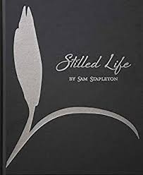 Stilled Life by Sam Stapleton.