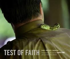 Test of Faith: Signs, Serpents, Salvation by Lauren Pond