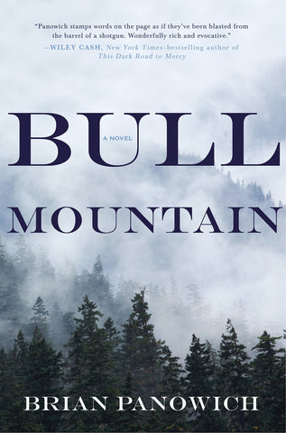 Bull Mountain by Brian Panowich