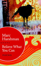 Believe What You Can by Marc Harshman