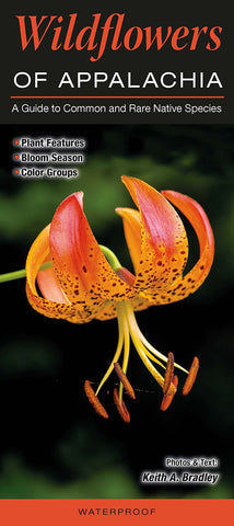 Wildflowers of Appalachia: A Guide to Common and Rare Native Species by Keith A. Bradley